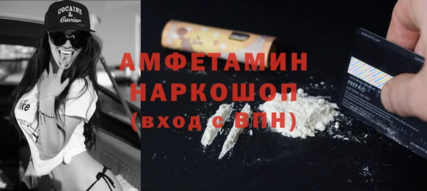 прущие грибы Няндома