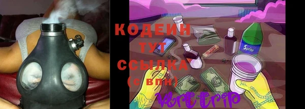 прущие грибы Няндома