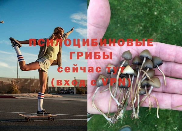 синтетический гашиш Нязепетровск