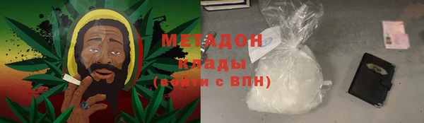 прущие грибы Няндома