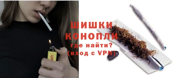 ПСИЛОЦИБИНОВЫЕ ГРИБЫ Новодвинск