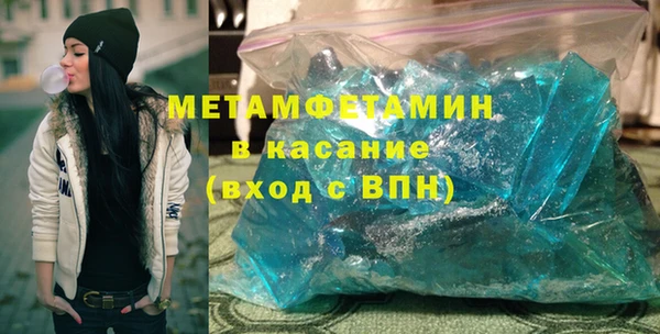прущие грибы Няндома