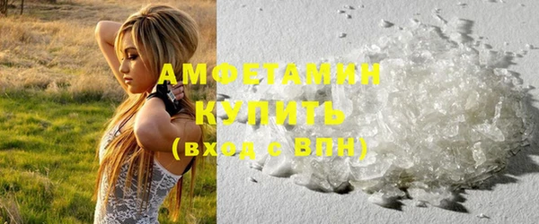 прущие грибы Няндома