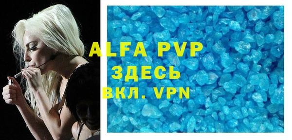прущие грибы Няндома