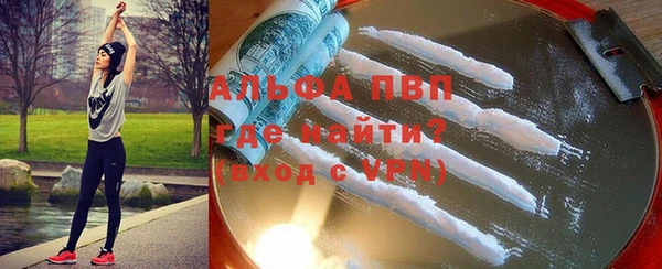 прущие грибы Няндома