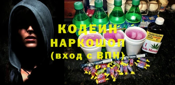 прущие грибы Няндома