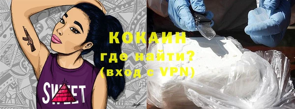 прущие грибы Няндома