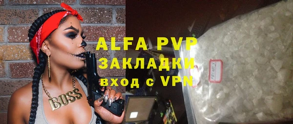 прущие грибы Няндома