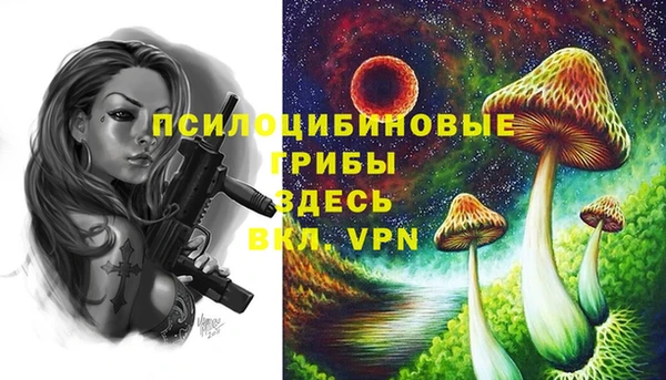 прущие грибы Няндома