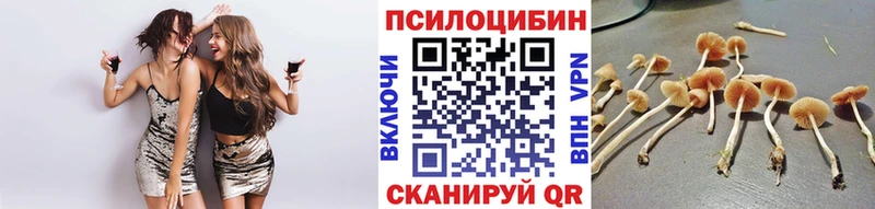 Псилоцибиновые грибы ЛСД  Приморско-Ахтарск 