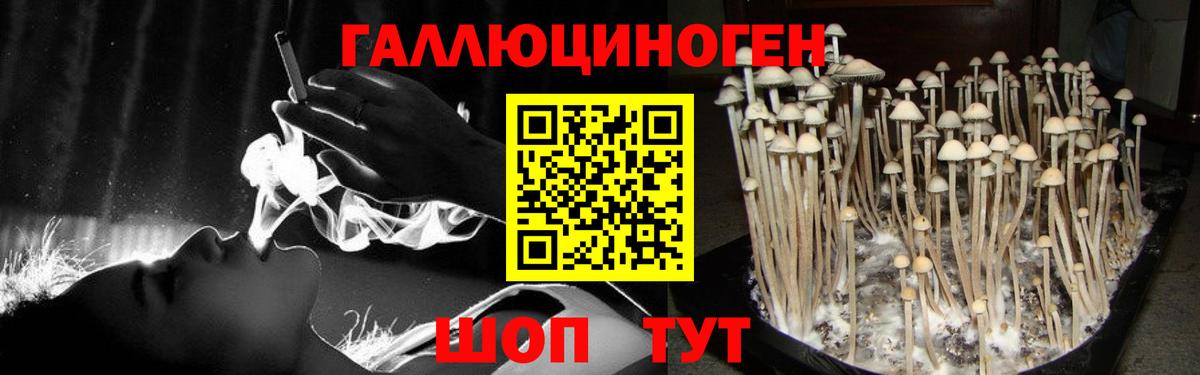 Галлюциногенные грибы Psilocybine cubensis Приморско-Ахтарск